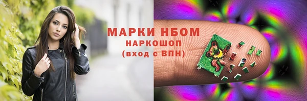 прущие грибы Балабаново