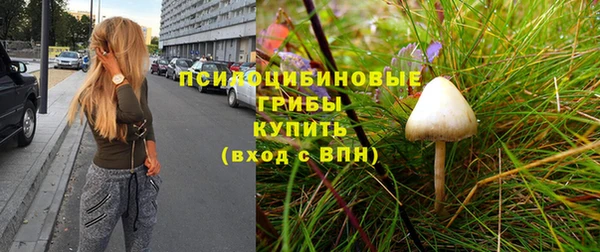 молекула духа Баксан