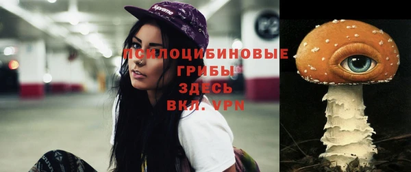 молекула духа Баксан