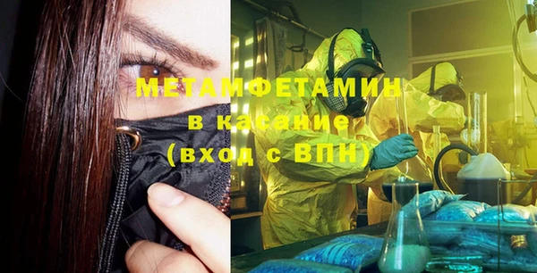 прущие грибы Балабаново