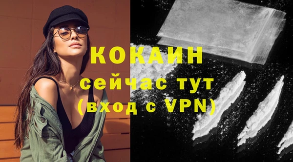 прущие грибы Балабаново