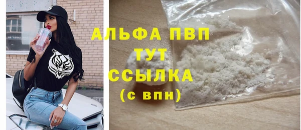прущие грибы Балабаново