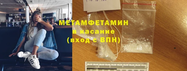 прущие грибы Балабаново