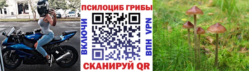 Псилоцибиновые грибы Magic Shrooms  Шатура 